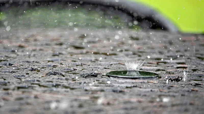 Ce se întâmplă cu mirosul după ploaie și de unde vine acea aromă specifică?