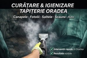 Curățare Auto Oradea – Detailing Interior, Tapiterie și Canapele la Domiciliu