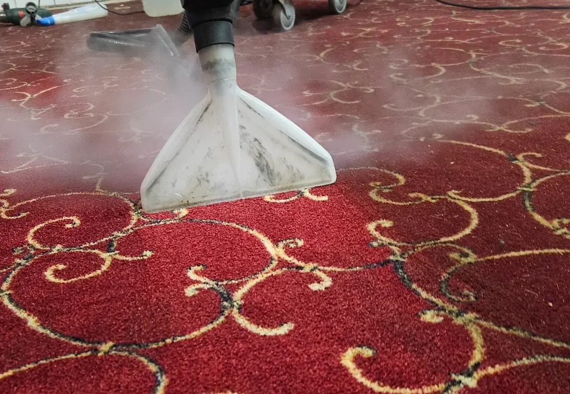 Detaliu din procesul de curățare a mochetei cu un extractor